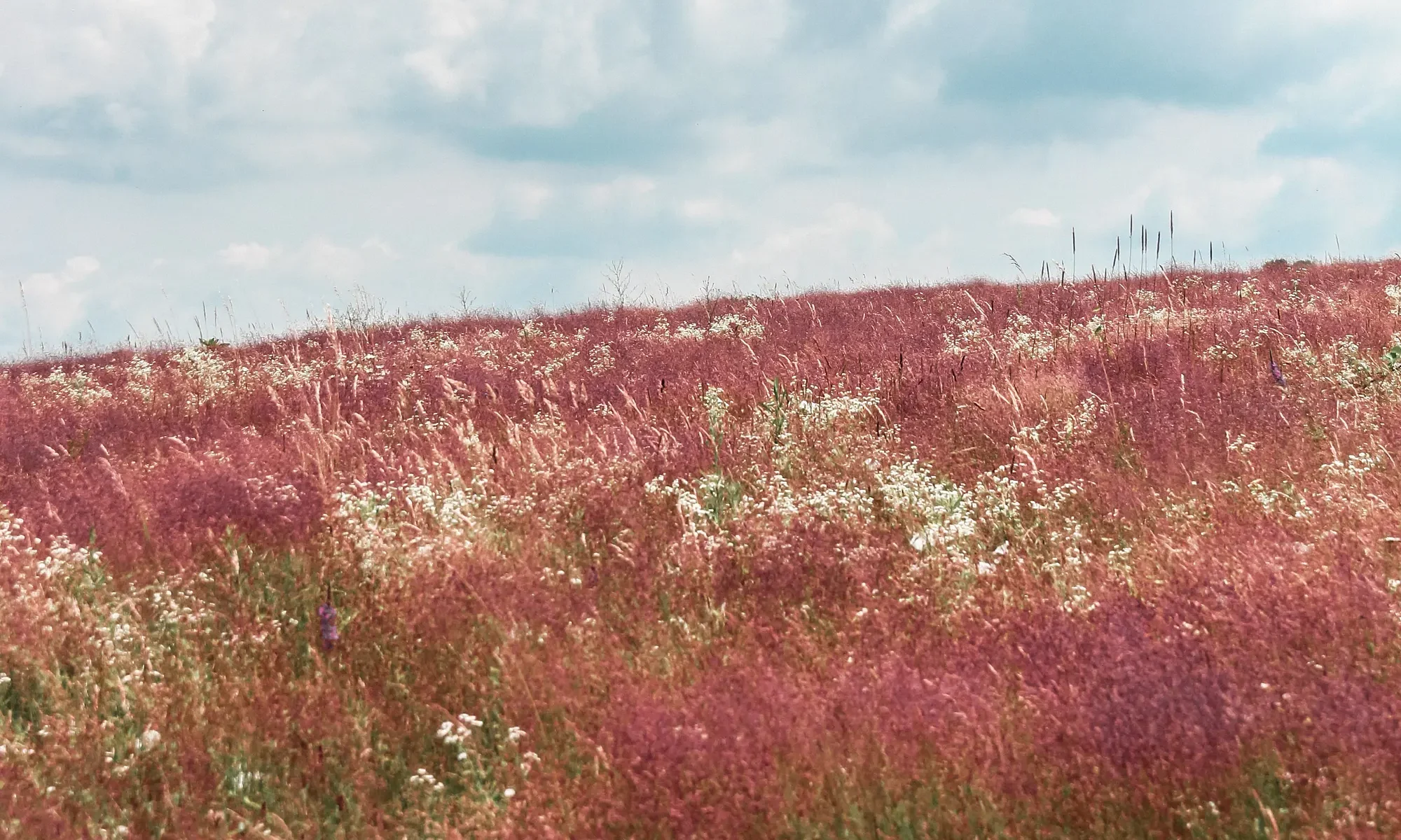 Photo by Valentin Salja on Unsplash