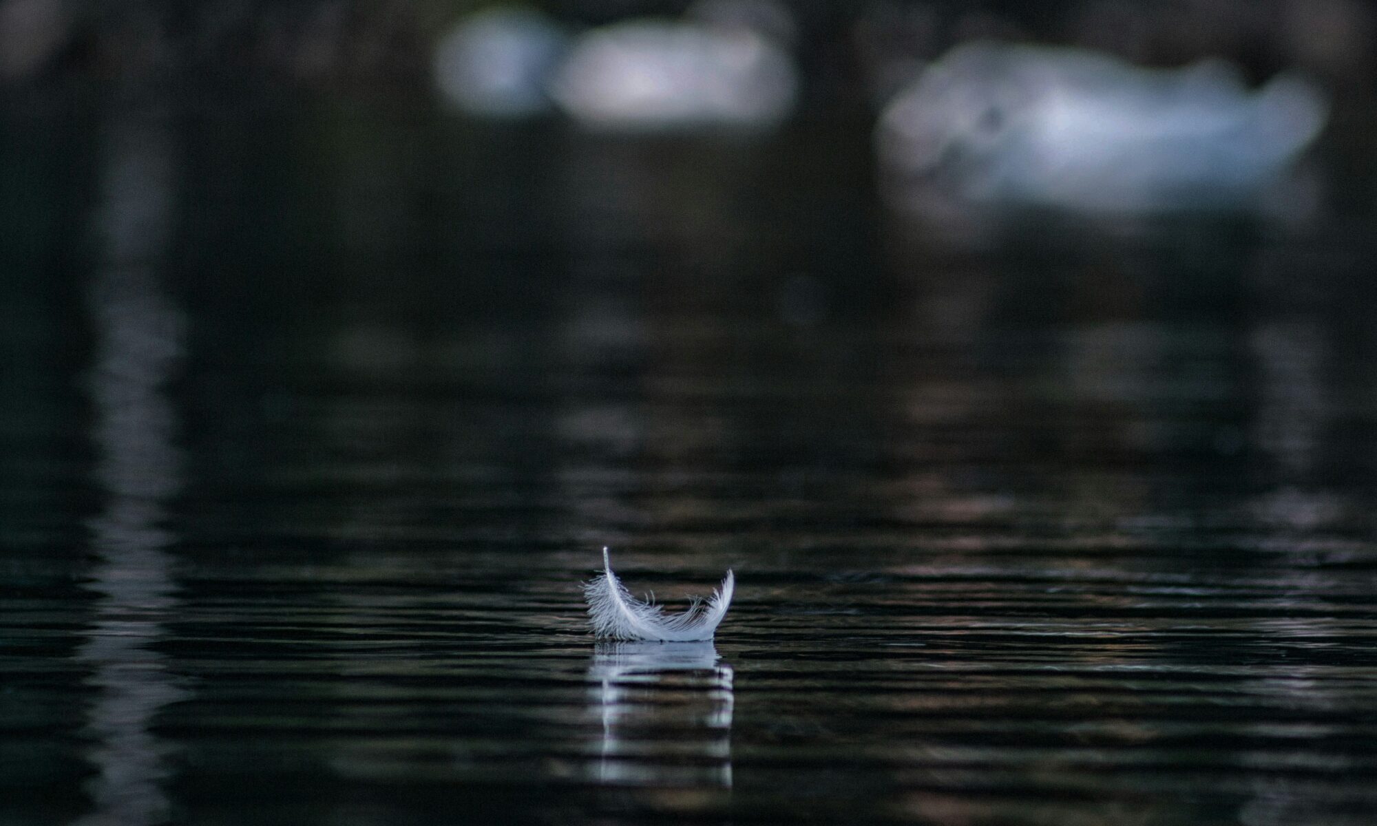 Foto von Andraz Lazic auf Unsplash
