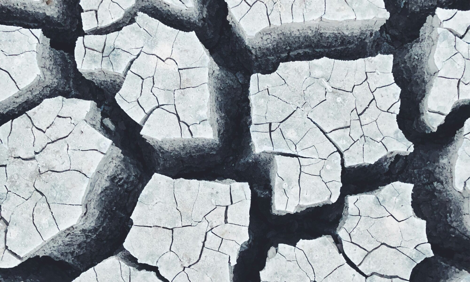 Foto von Joshua Brown auf Unsplash