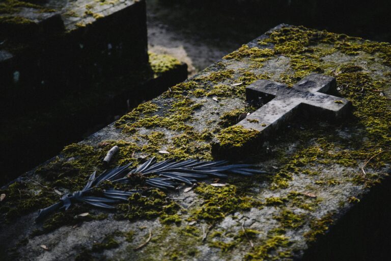 Foto von Kenny Orr auf Unsplash